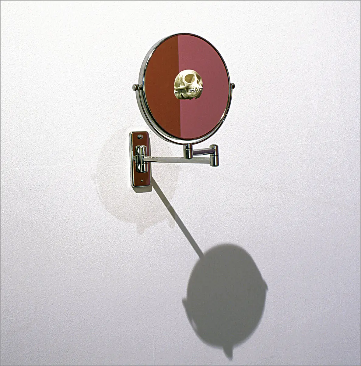 Monografía: Sergio Vega — imagen 5