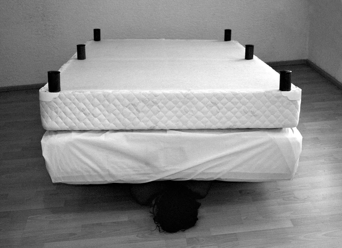 Bienal: Art Basel 2006 — imagen 9