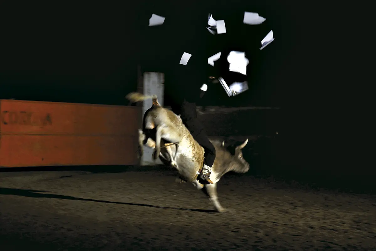 Bienal: Art Basel 2006 — imagen 1