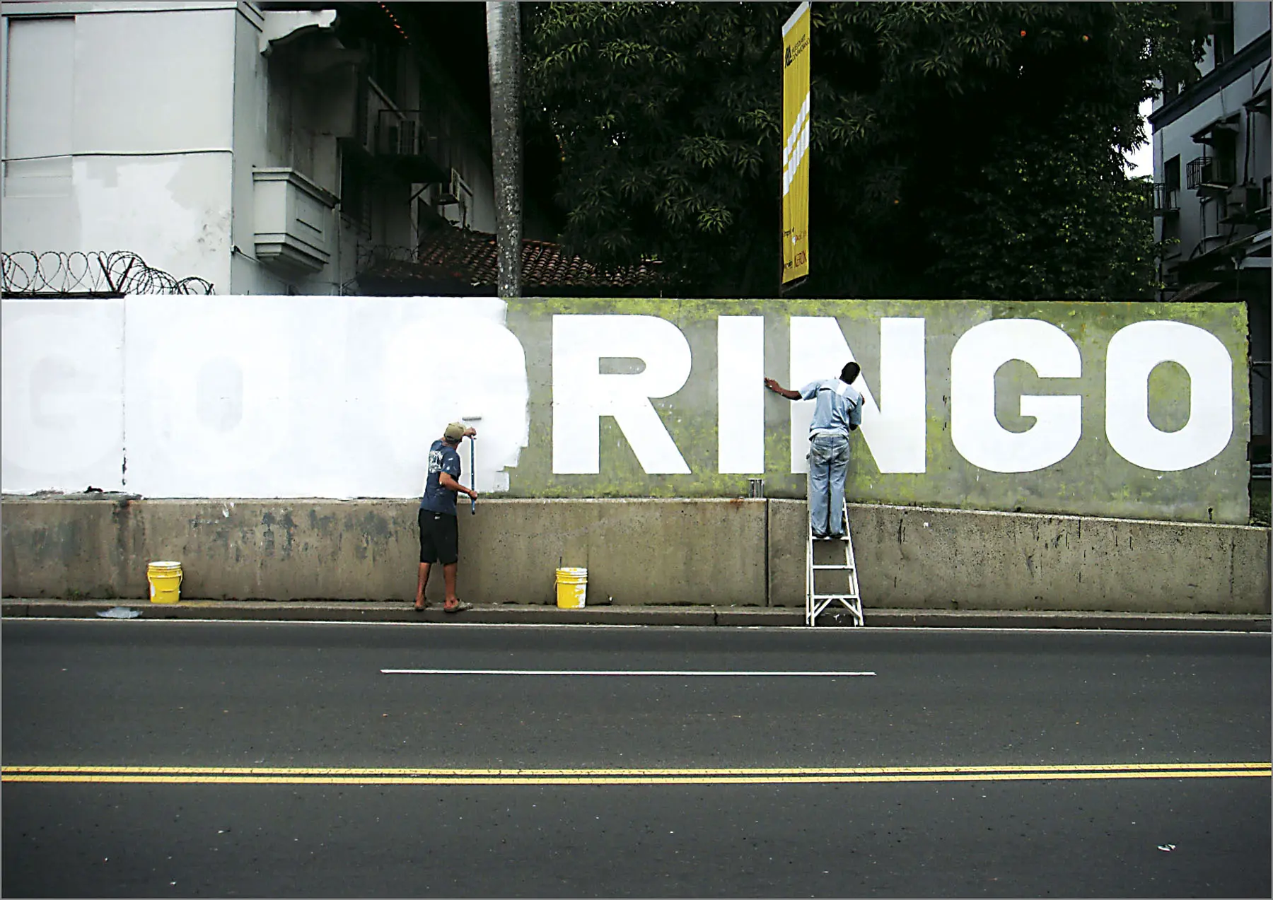VIII Bienal de Arte de Panamá, Modestia y Transgresión