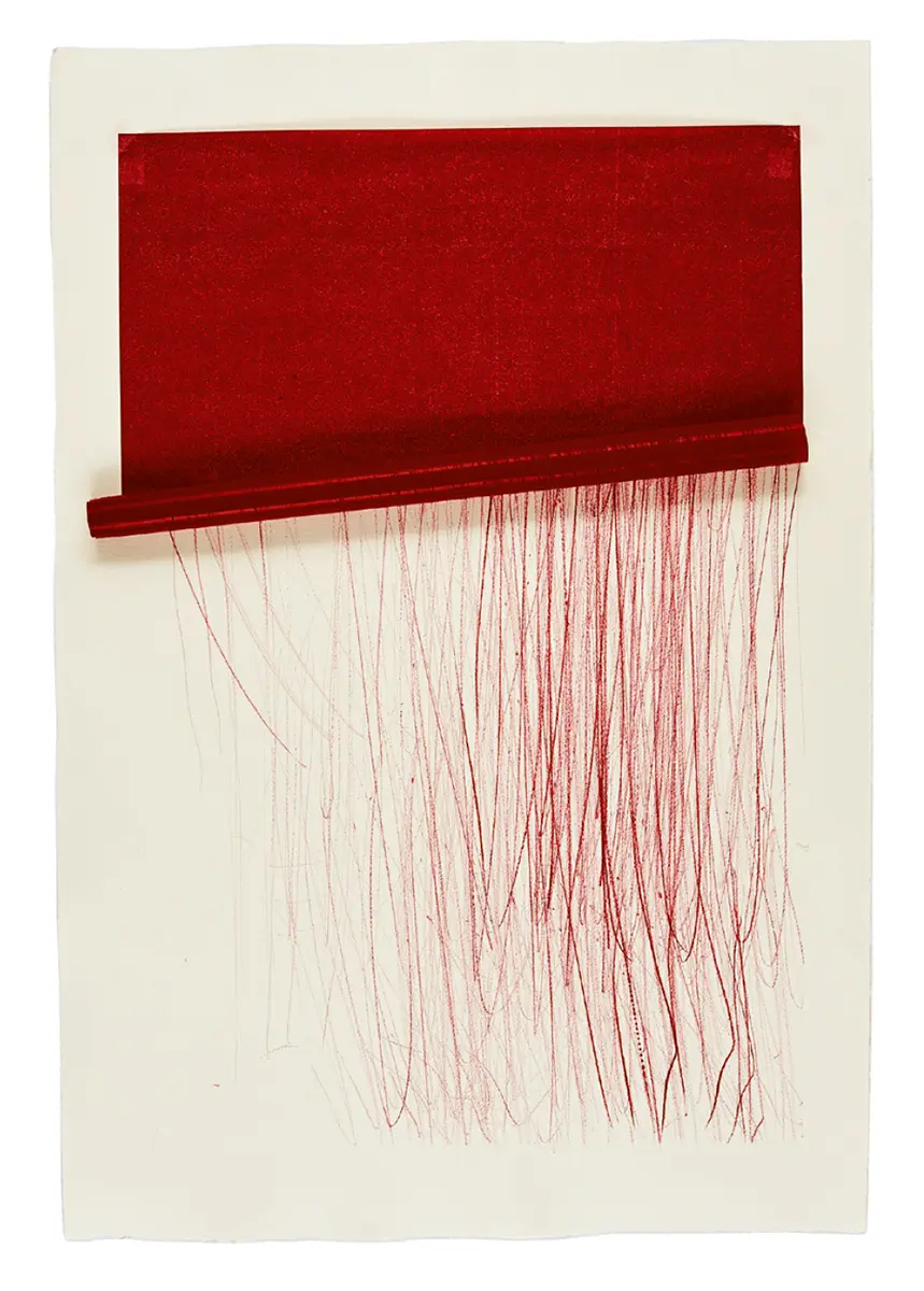 Monografía: Carla Chaim — imagen 8