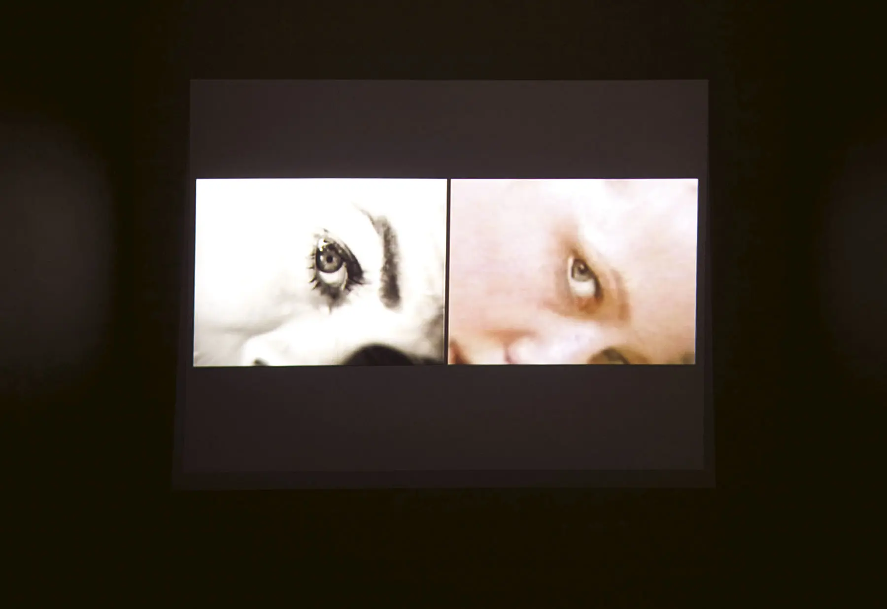 5ª Bienal del Vento Sul