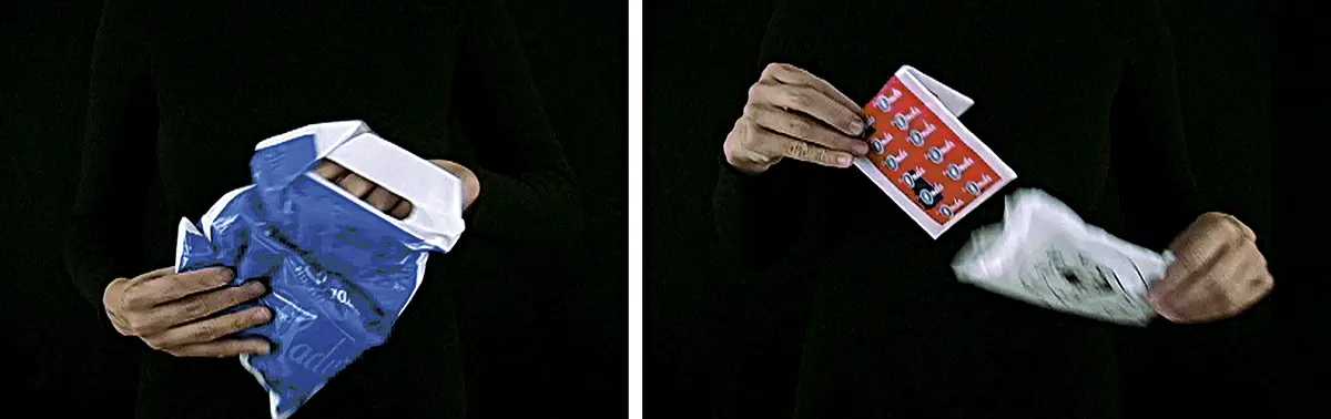 Monografía: Donna Conlon — imagen 9