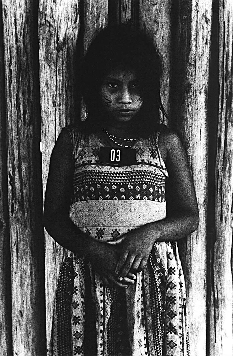 Bienal: XXVII Bienal de São Paulo — imagen 9