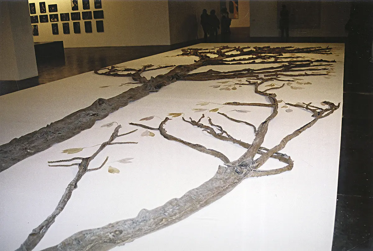 Bienal: XXVII Bienal de São Paulo — imagen 8