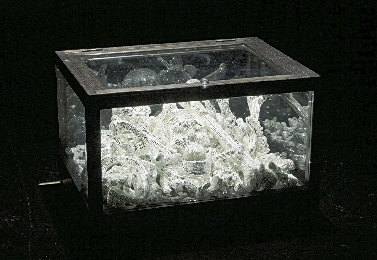 Bienal: Contextualizar y Pluralizar — imagen 3