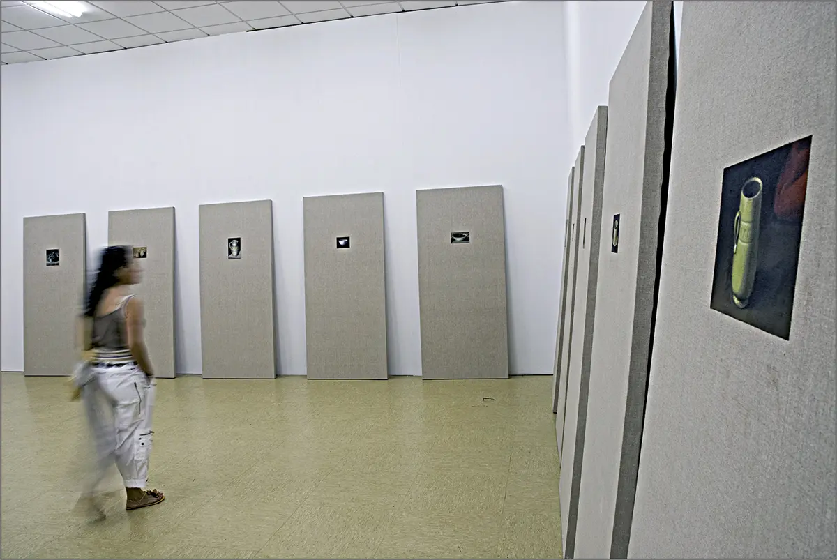 Bienal: XXIX Bienal de Arte de Pontevedra. Los imaginarios de la emigración. — imagen 2