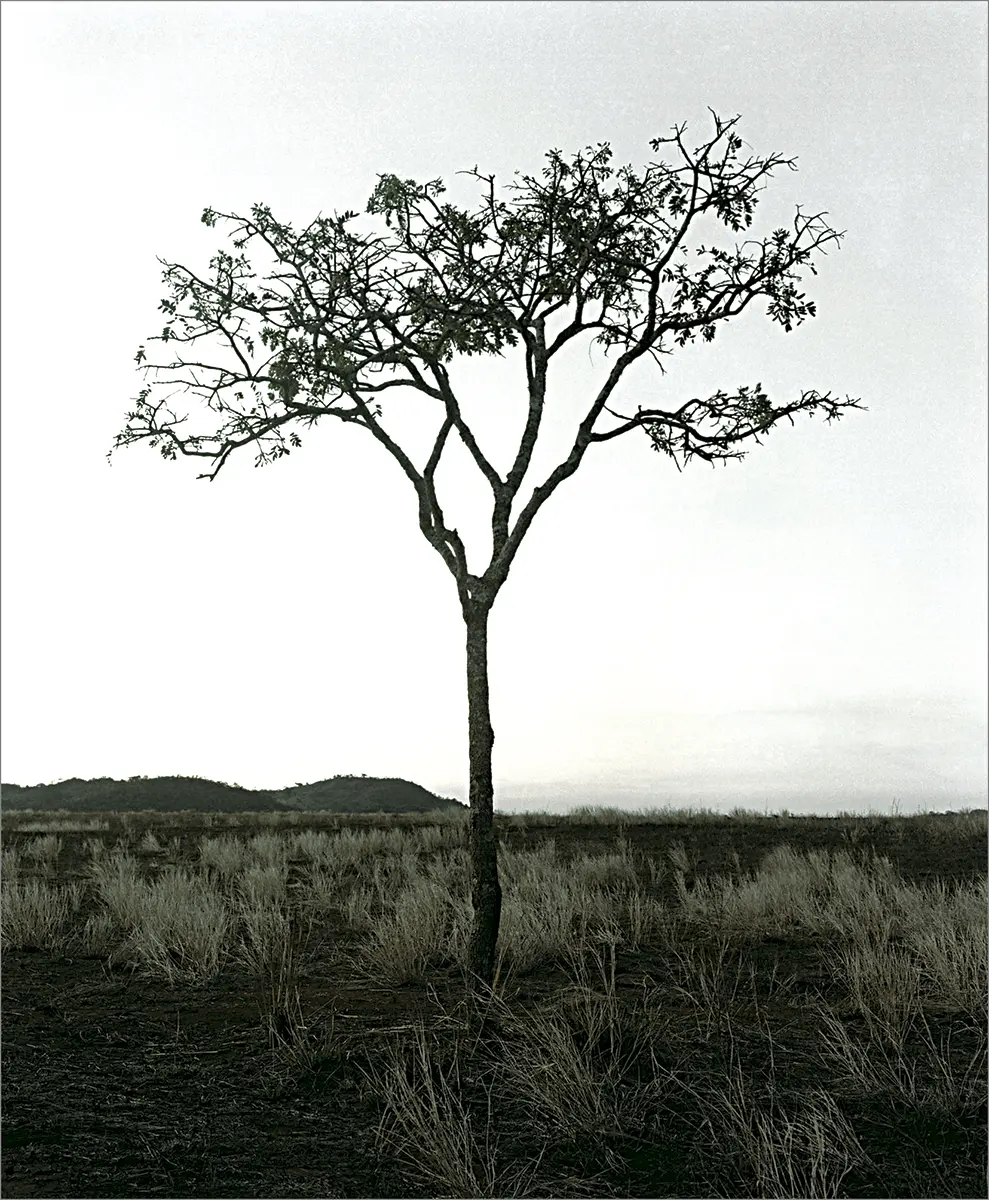 Exposición: Photo España — imagen 7