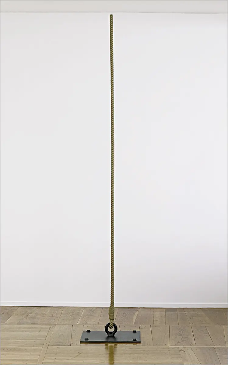 Feria: FIAC, Paris — imagen 6
