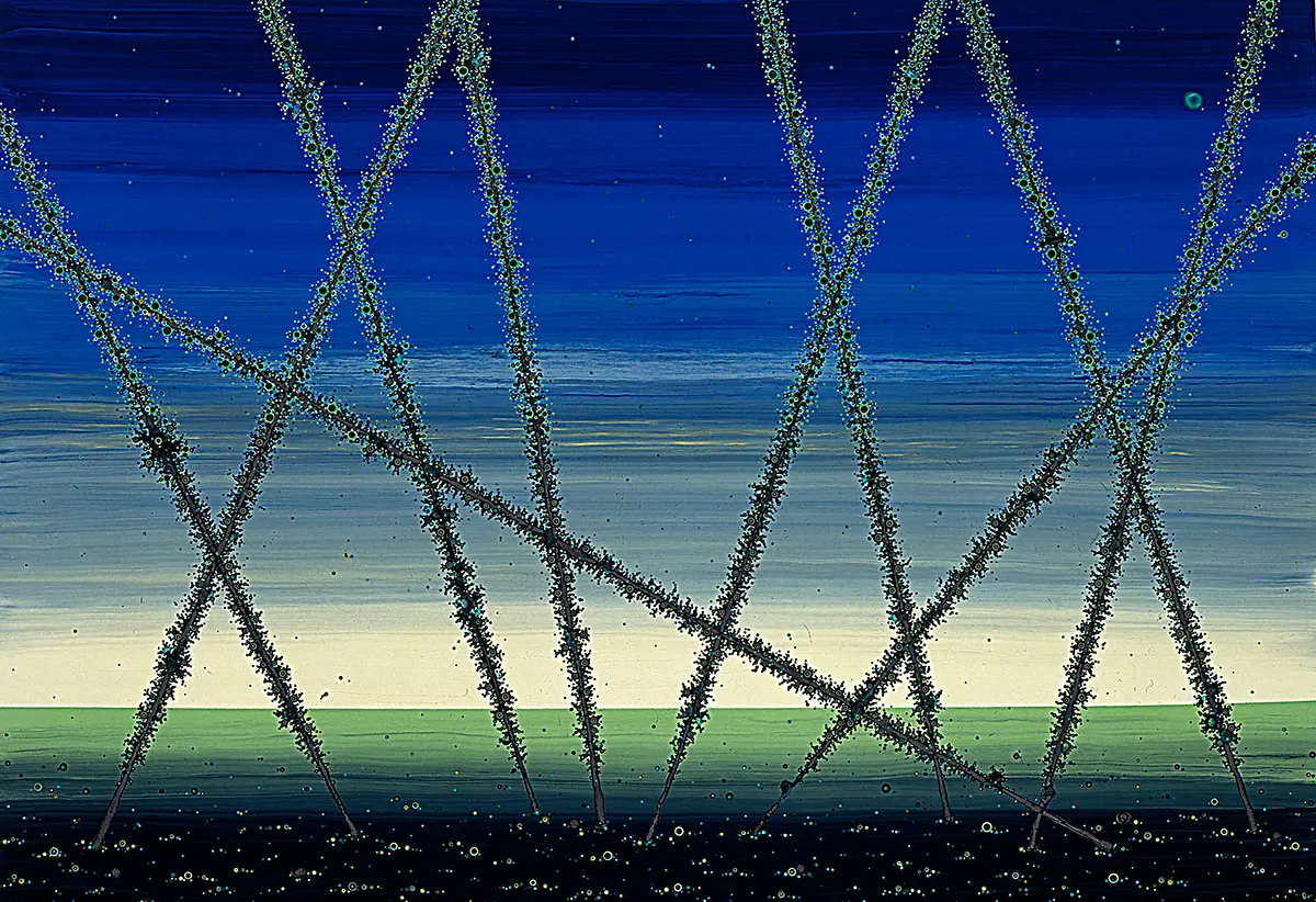 Monografía: Marcelo Pombo — imagen 4