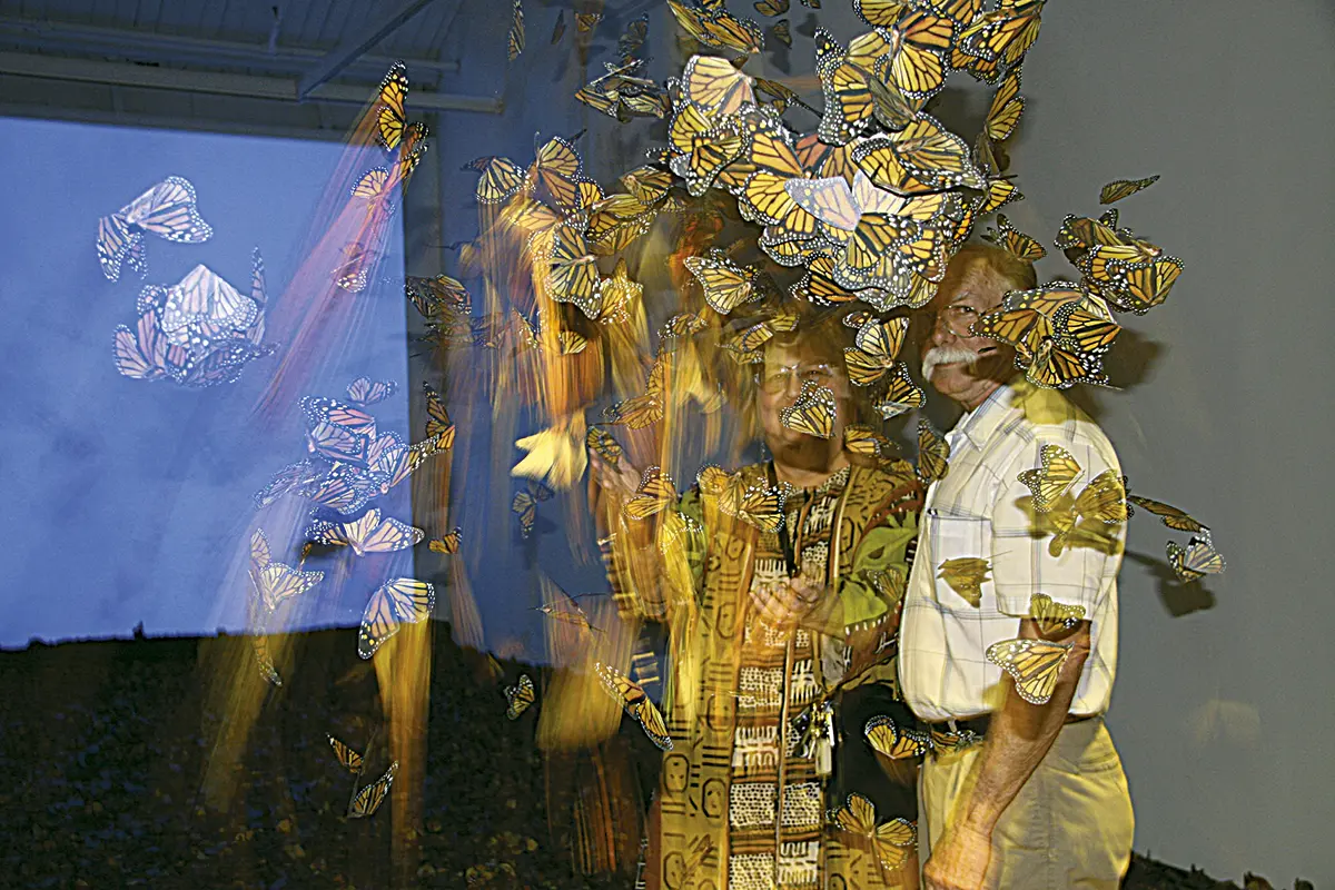Exposición Individual: Erika Harsch — imagen 1