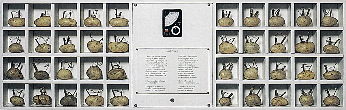 Exposición Individual: Ana María Maiolino y Víctor Grippo — imagen 2