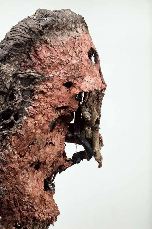 Bienal: Bienal del Whitney, 2010 — imagen 6