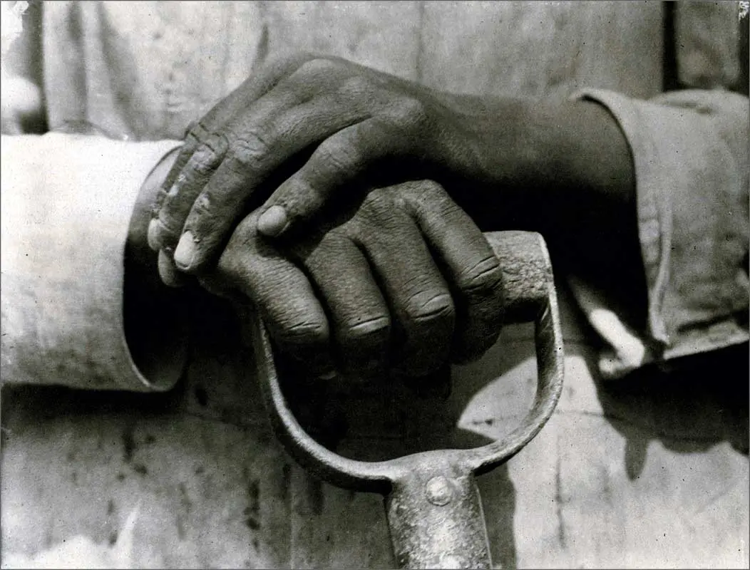 Exposición Individual: Tina Modotti — imagen 1