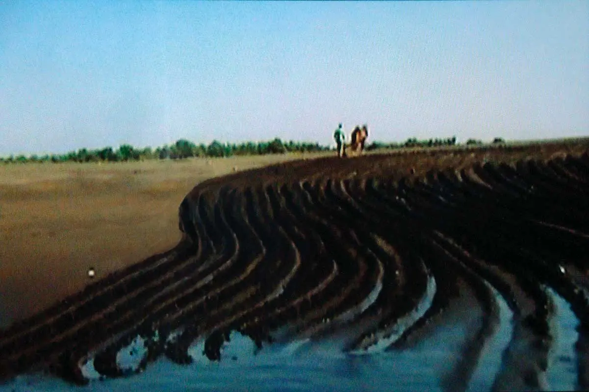 Bienal: Guatemala Biennial — imagen 1