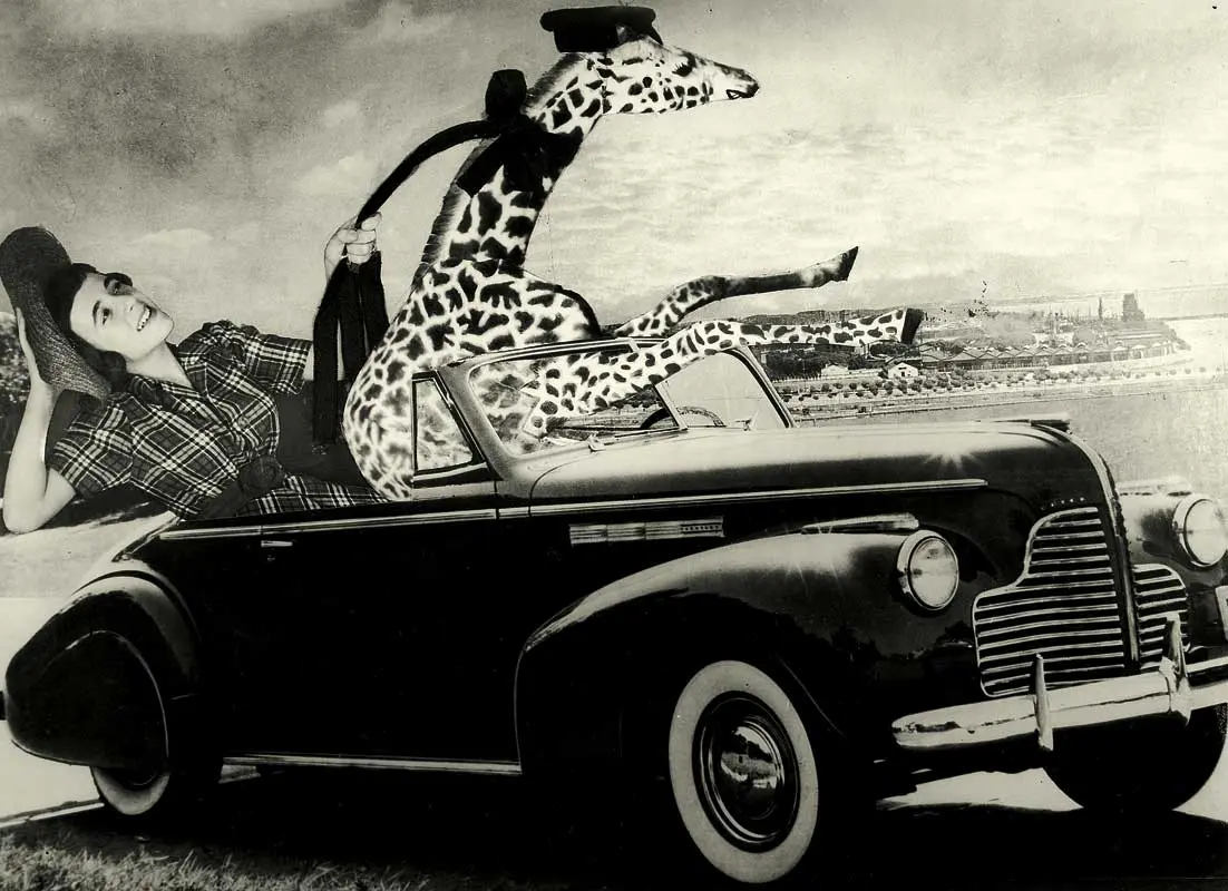 Monografía: Grete Stern — imagen 4