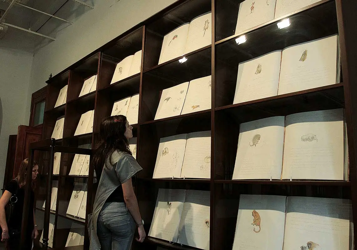 Bienal: 7a Bienal del Mercosur — imagen 9