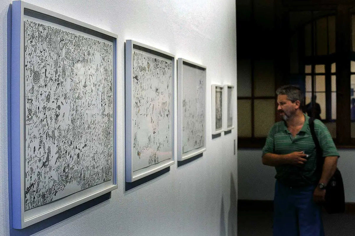 Bienal: 7a Bienal del Mercosur — imagen 8