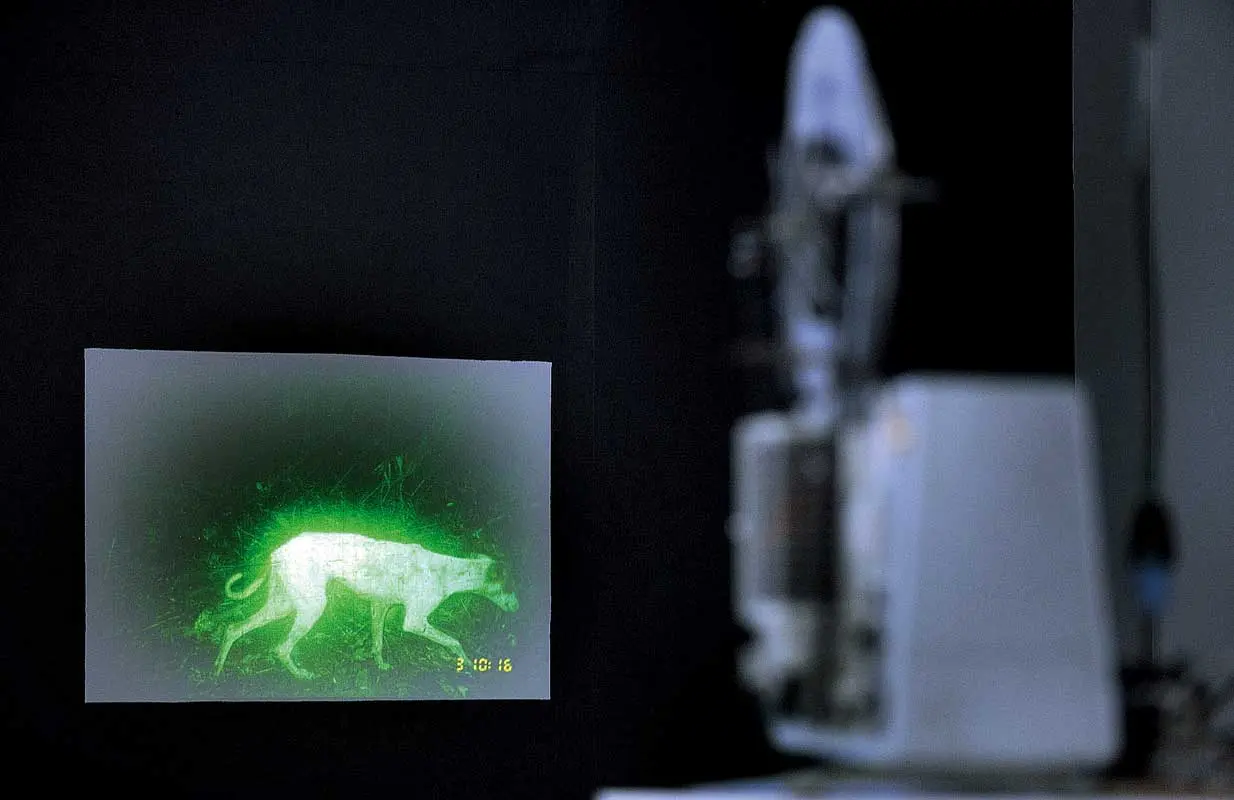 Bienal: 7a Bienal del Mercosur — imagen 7