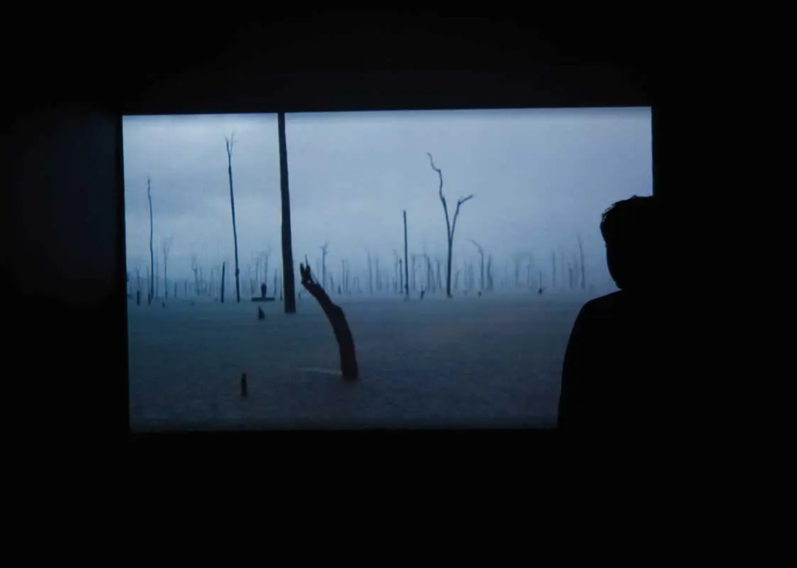 Colectiva: 5ª Bienal del Vento Sul — imagen 4