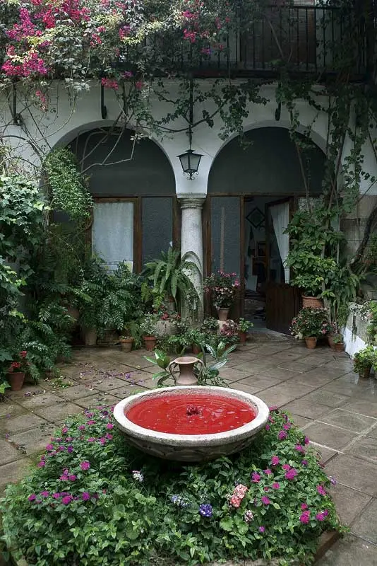 Colectiva: El patio de mi casa. Arte contemporáneo en 16 patios cordobeses — imagen 6