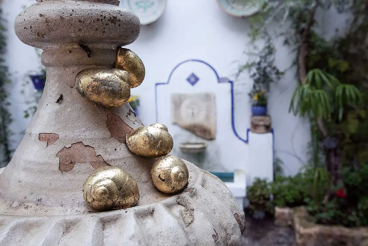 Colectiva: El patio de mi casa. Arte contemporáneo en 16 patios cordobeses — imagen 3