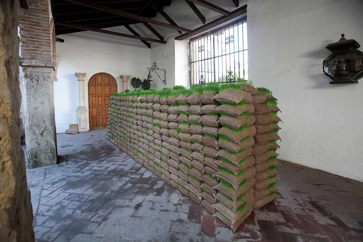 Colectiva: El patio de mi casa. Arte contemporáneo en 16 patios cordobeses — imagen 2