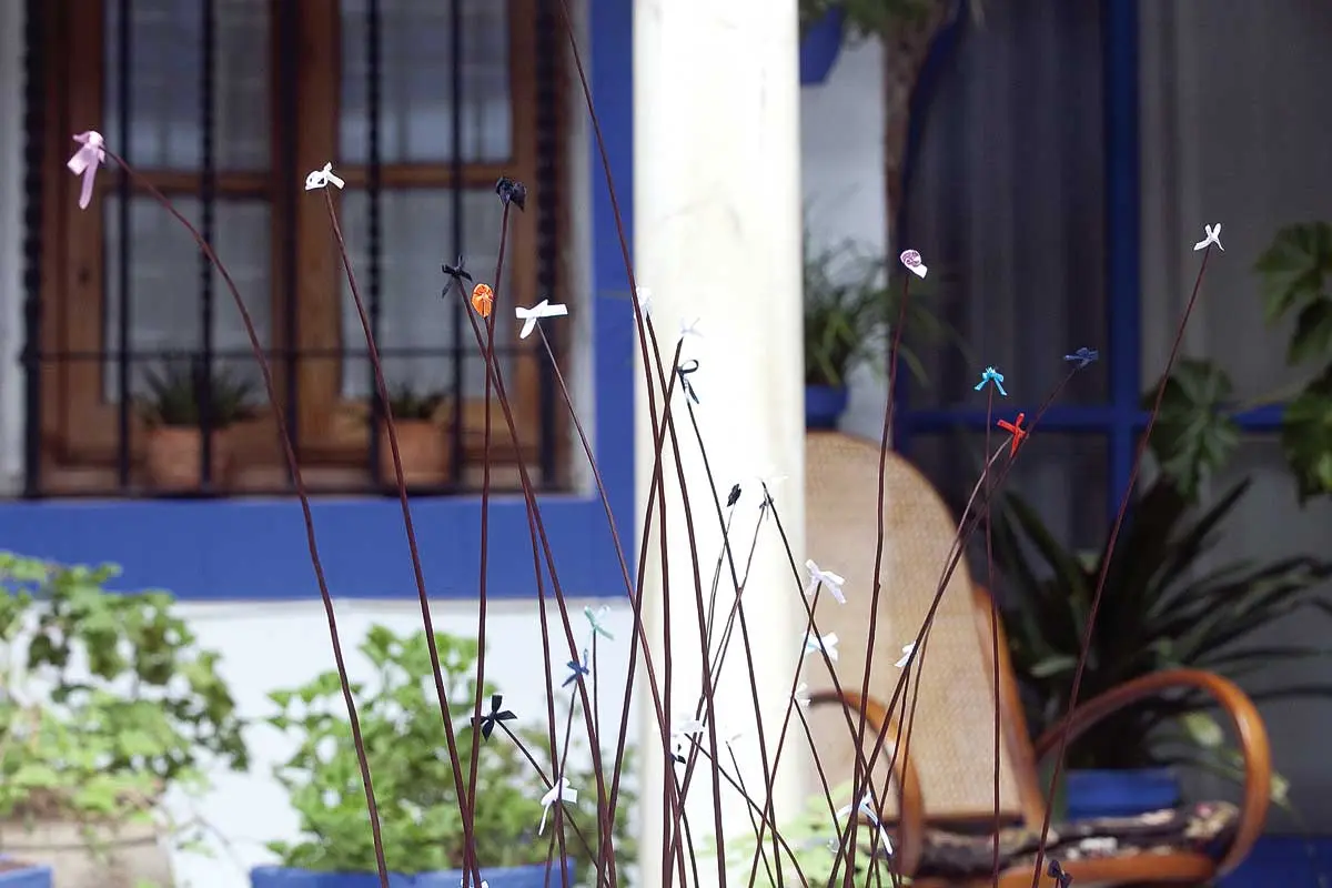 Colectiva: El patio de mi casa. Arte contemporáneo en 16 patios cordobeses — imagen 1