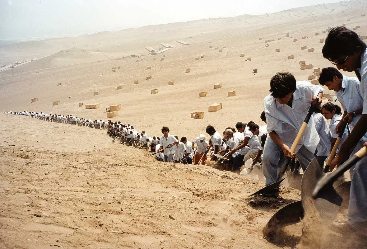 Exposición Individual: Francis Alÿs — imagen 1