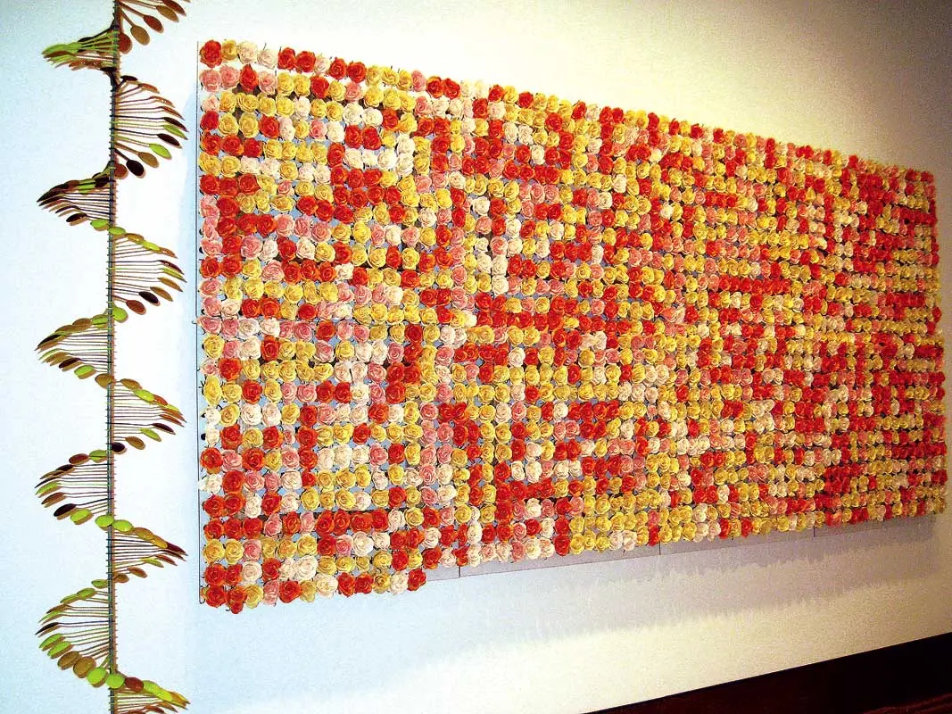 Exposición Individual: Nela Ochoa — imagen 1