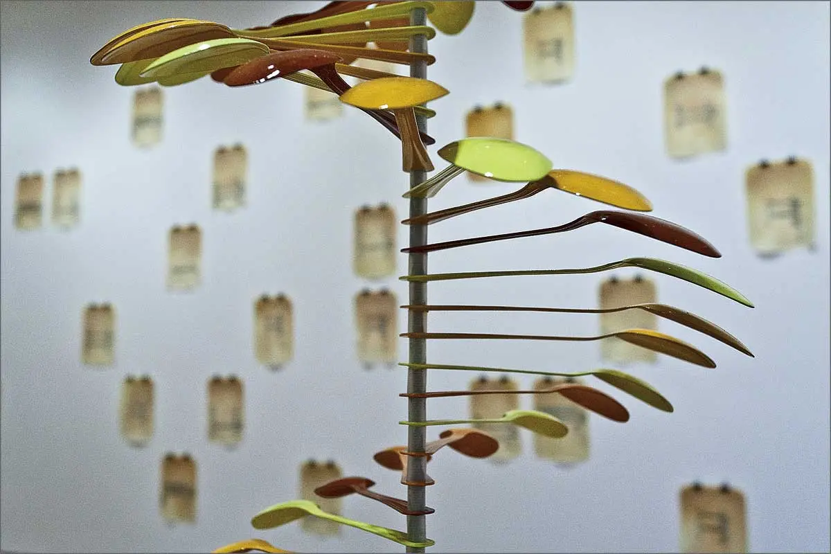 Exposición Individual: Nela Ochoa — imagen 2
