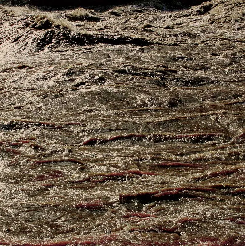 Colectiva: Materia del Video For You/Para Usted — imagen 2