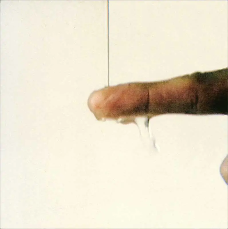 Colectiva: Materia del Video For You/Para Usted — imagen 5