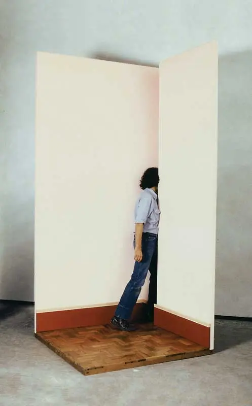 Exposición: Cildo Meireles — imagen 1