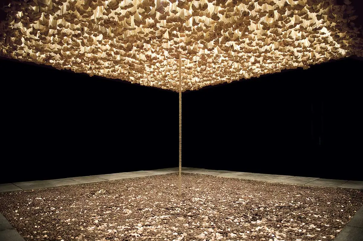 Exposición: Cildo Meireles — imagen 2