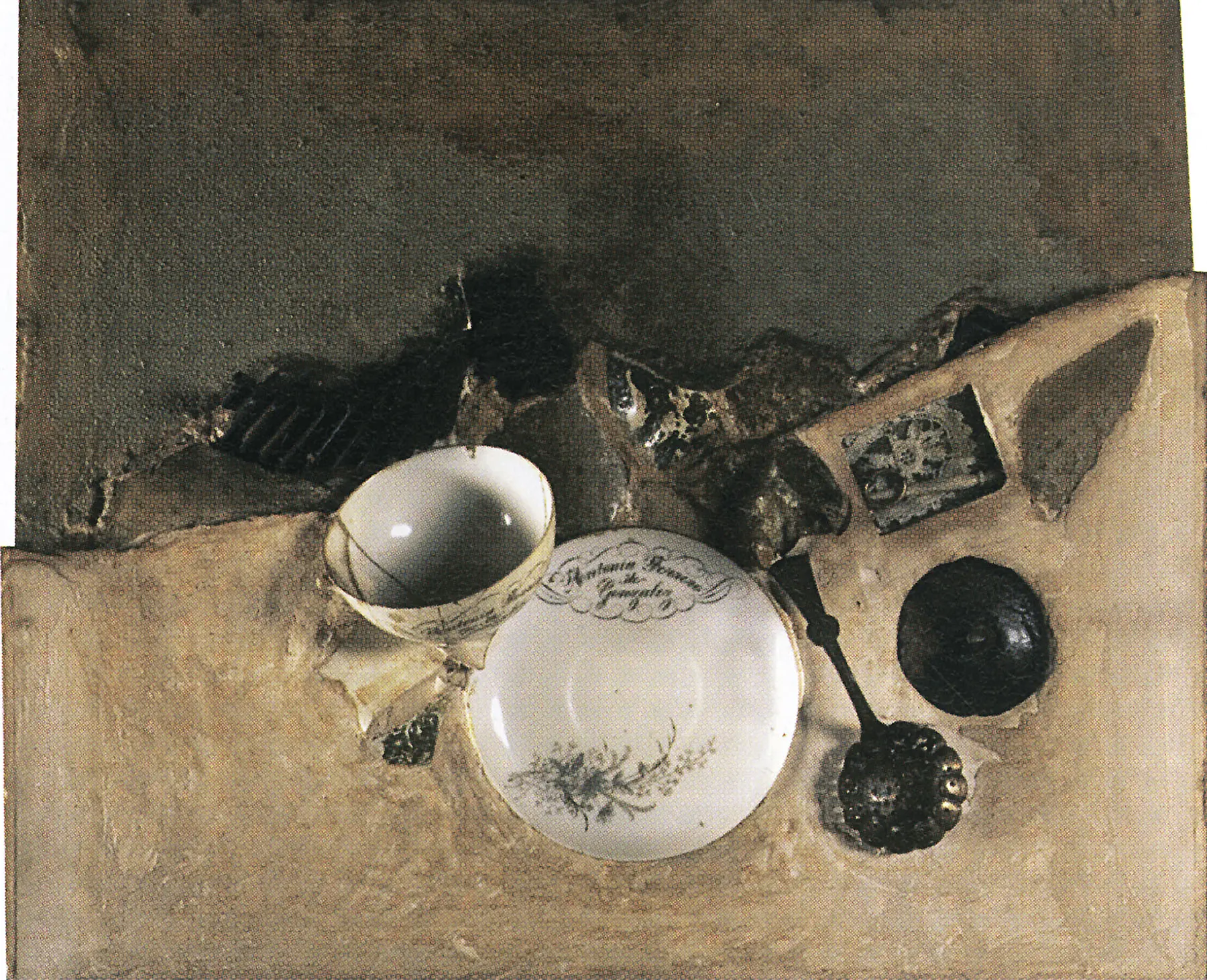 Beatriz Daza