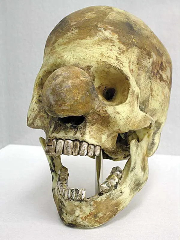 Colectiva: ¡Viva la muerte! — imagen 2
