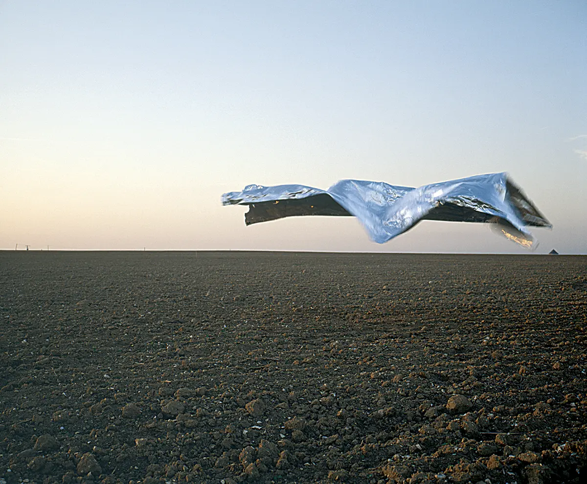 Monografía: Rosario López — imagen 4