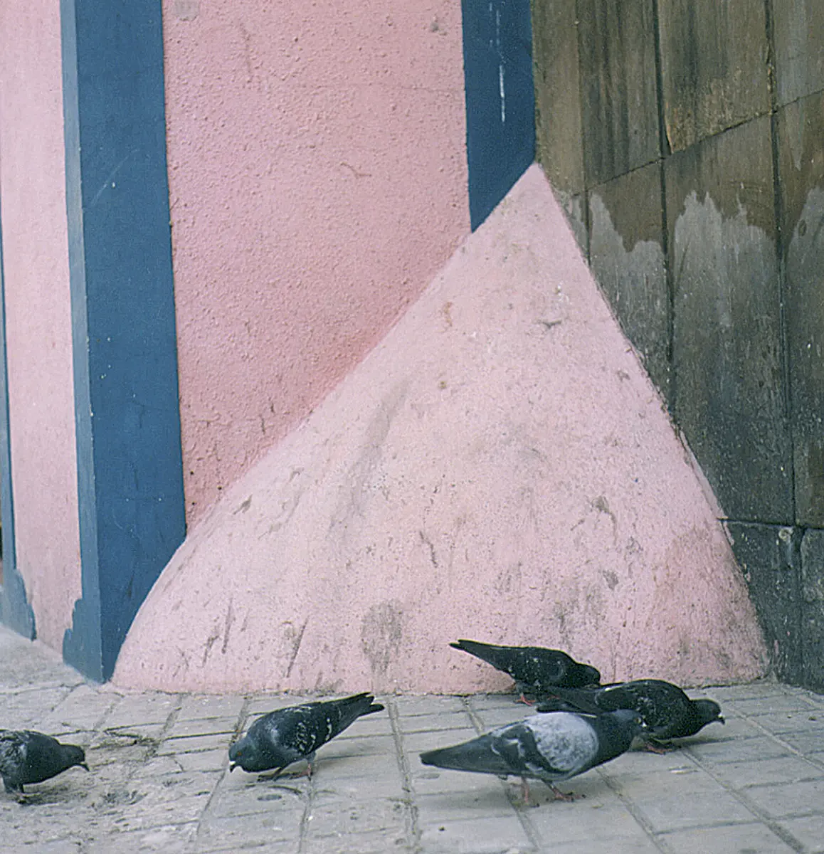 Monografía: Rosario López — imagen 1