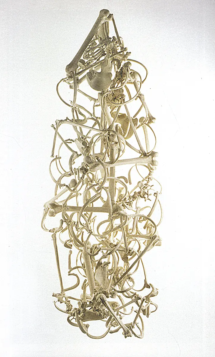 Bienal: Venecia — imagen 2
