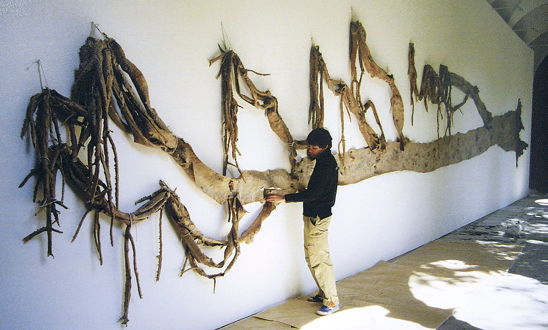 Alberto Baraya