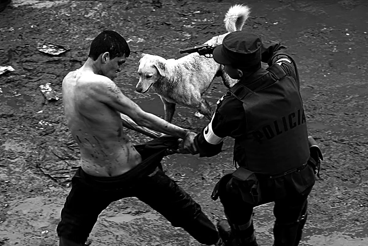 Exposición: Photo España — imagen 2