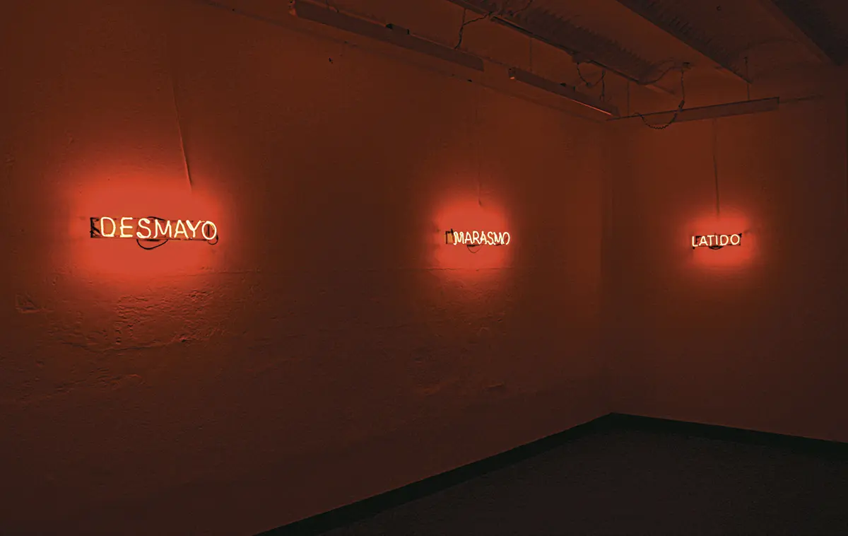 Bienal: Bienal del Fin del Mundo — imagen 4