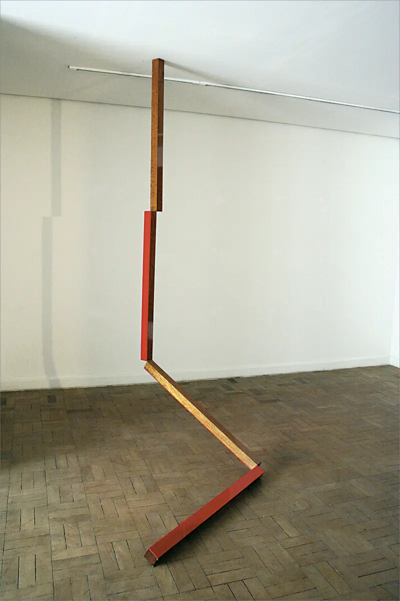 Feria: SP Arte 2007 — imagen 5