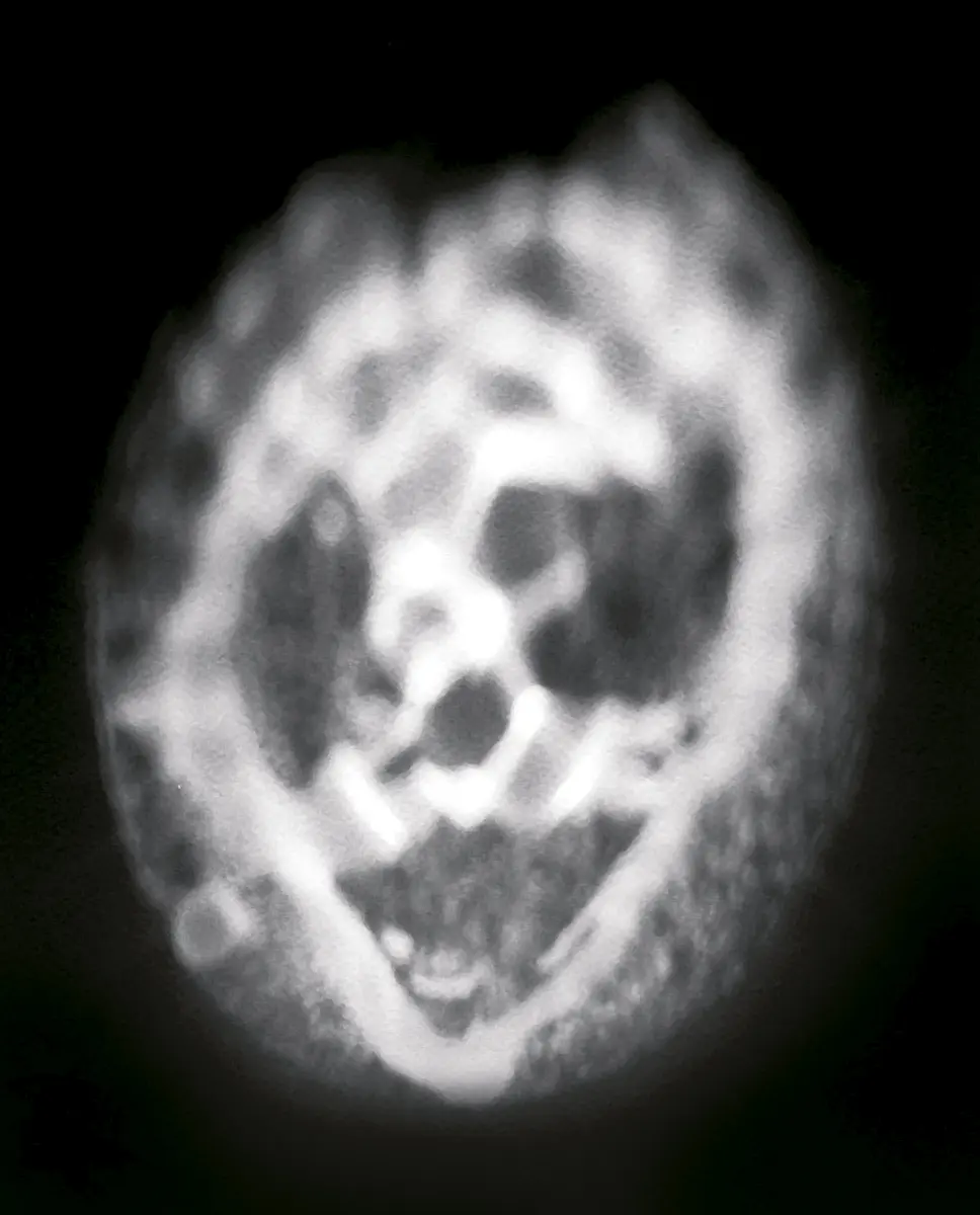 Otros: Fantasmagoría. Espectros de ausencia — imagen 7