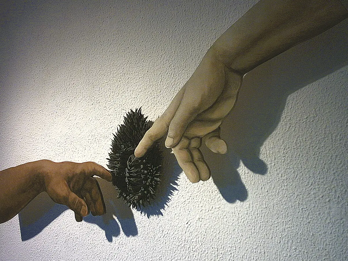 Exposición Individual: Harry Schuster y Gustavo Zajac — imagen 1