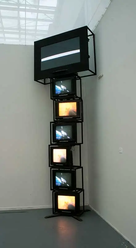 Exposición Individual: Juan Downey — imagen 1