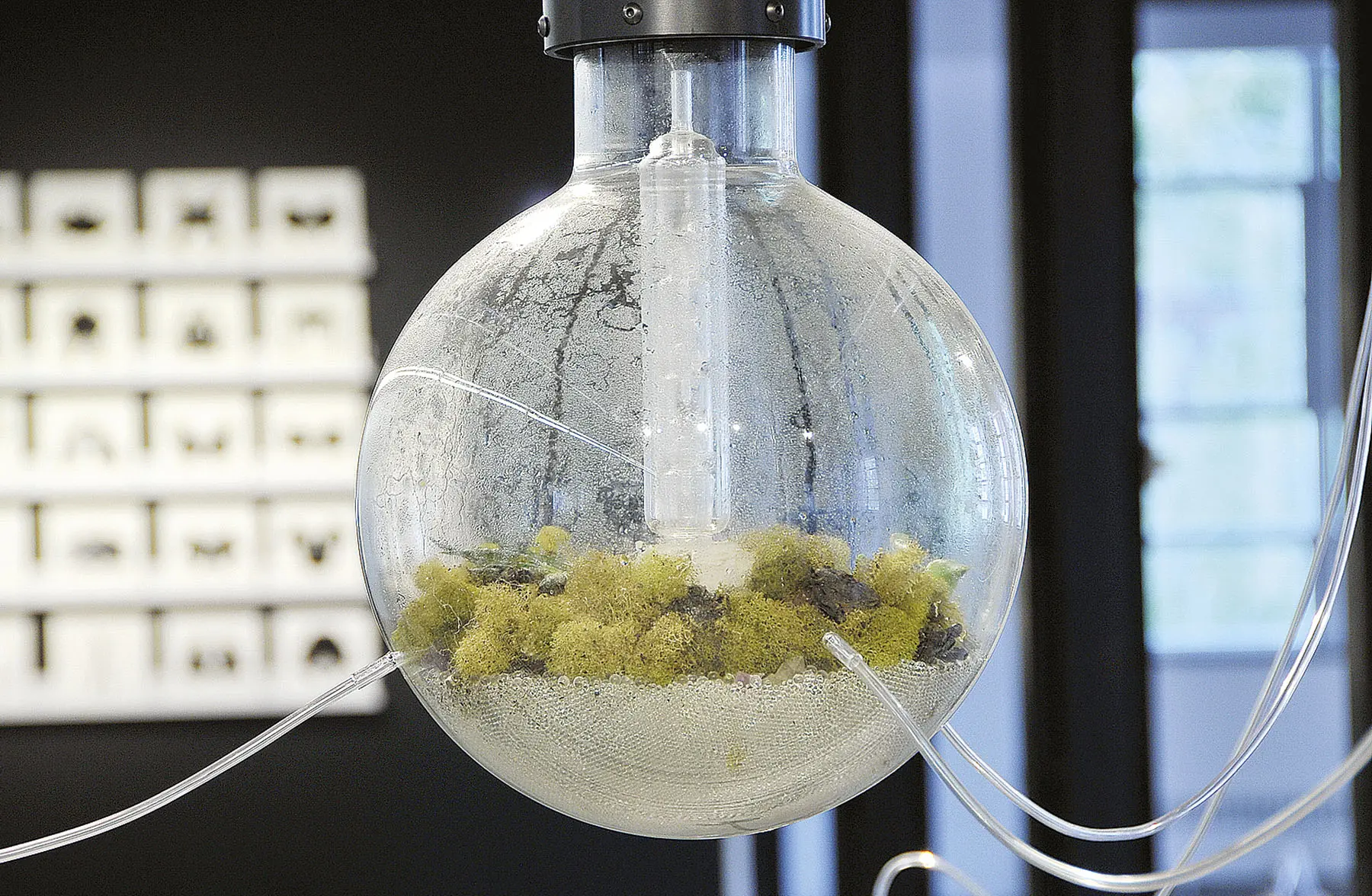 Bienal de las Américas. La naturaleza de las cosas