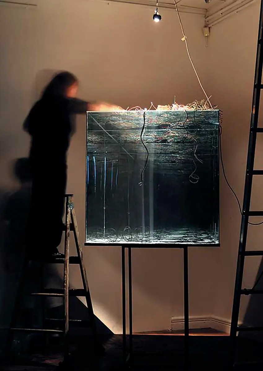 Monografía: Graciela Sacco — imagen 5
