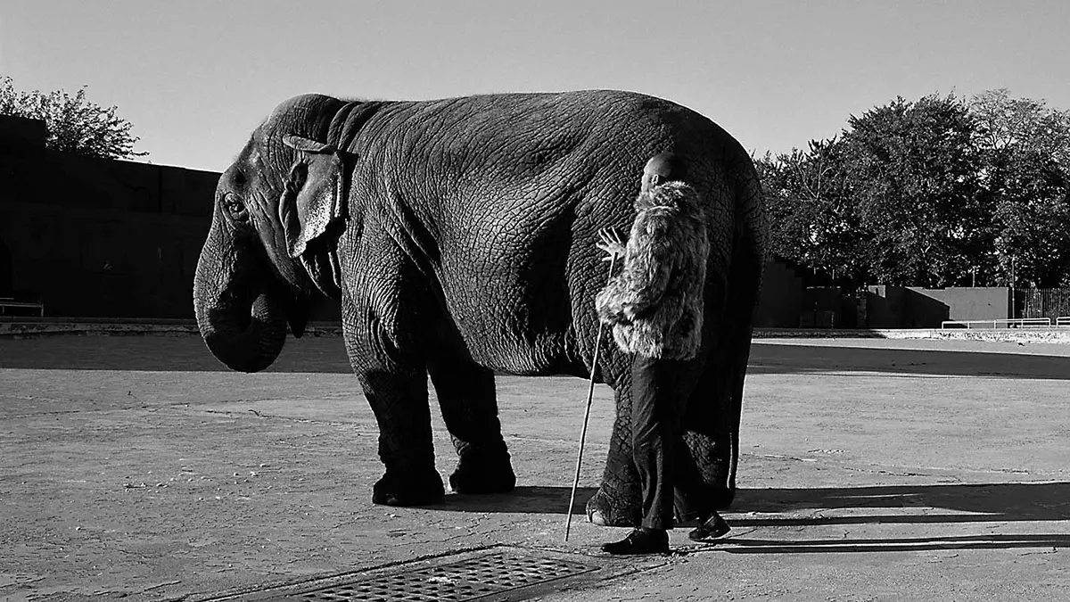 Monografía: Javier Téllez — imagen 7